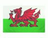 Dragon (Wales) flag 90 x 150 cm